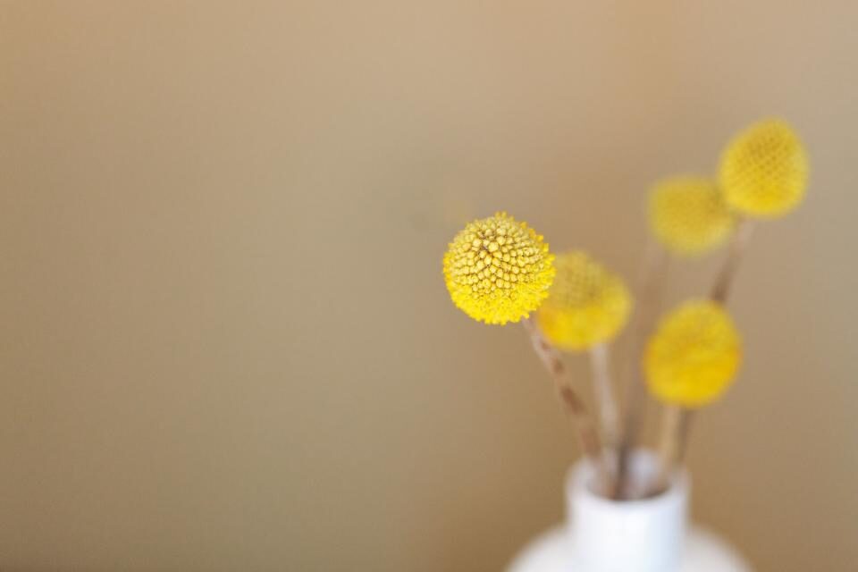 Homicide Victims Support Group SA - Caring & Sharing Meetings